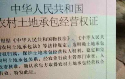 安徽灵璧：耕种18年有承包权证的土地被确权给他人，谁在滥用自己的权利？