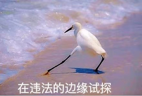 香菇种植基地项目被指强租强占村民土地