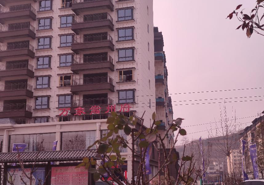 河南洛阳市监察干部充当嵩县地产商保护伞